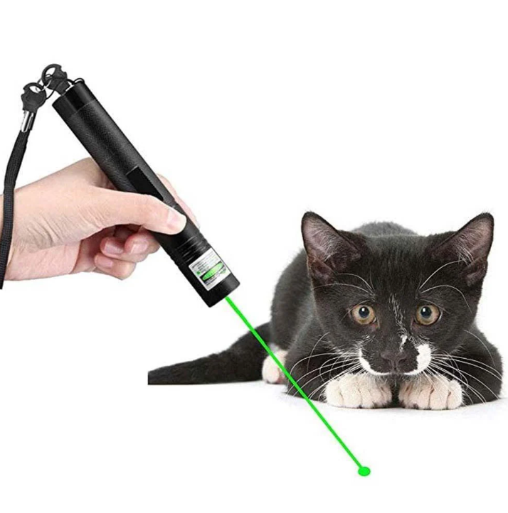 Laserpekare Hög effekt med grön och röd stråle för avstånd