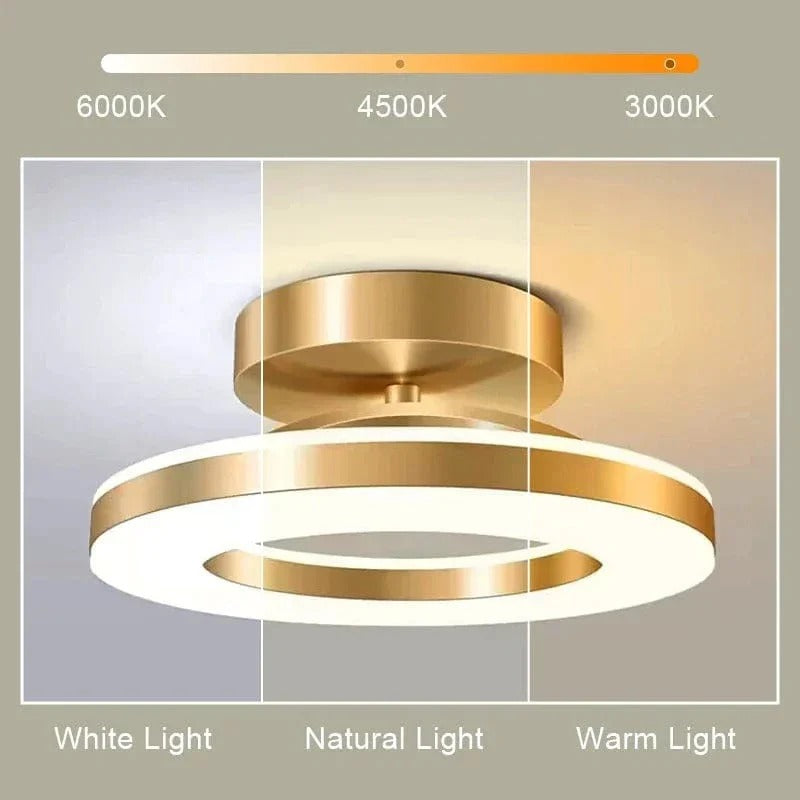 LED Taklampa