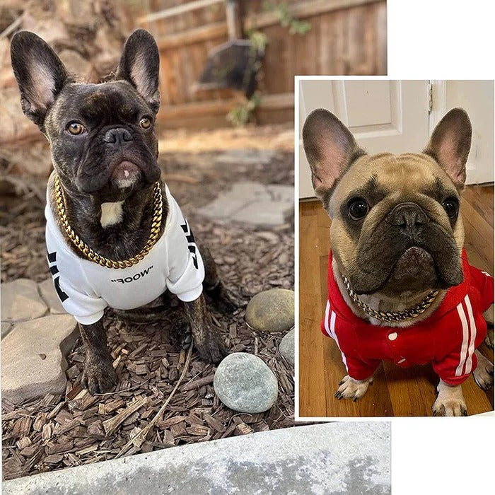 Tålig Hundhalsband