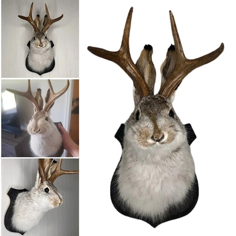 Jackalope Väggdekoration