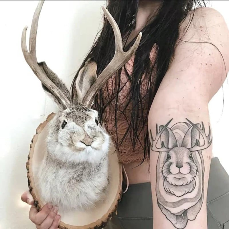 Jackalope Väggdekoration