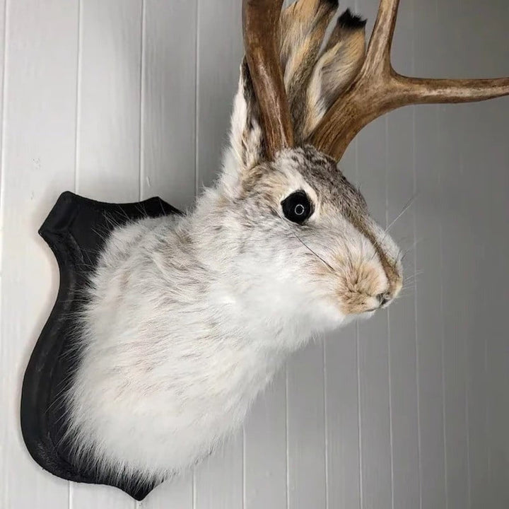 Jackalope Väggdekoration