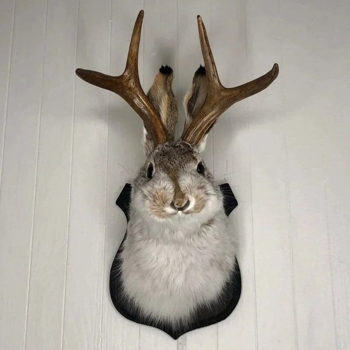 Jackalope Väggdekoration