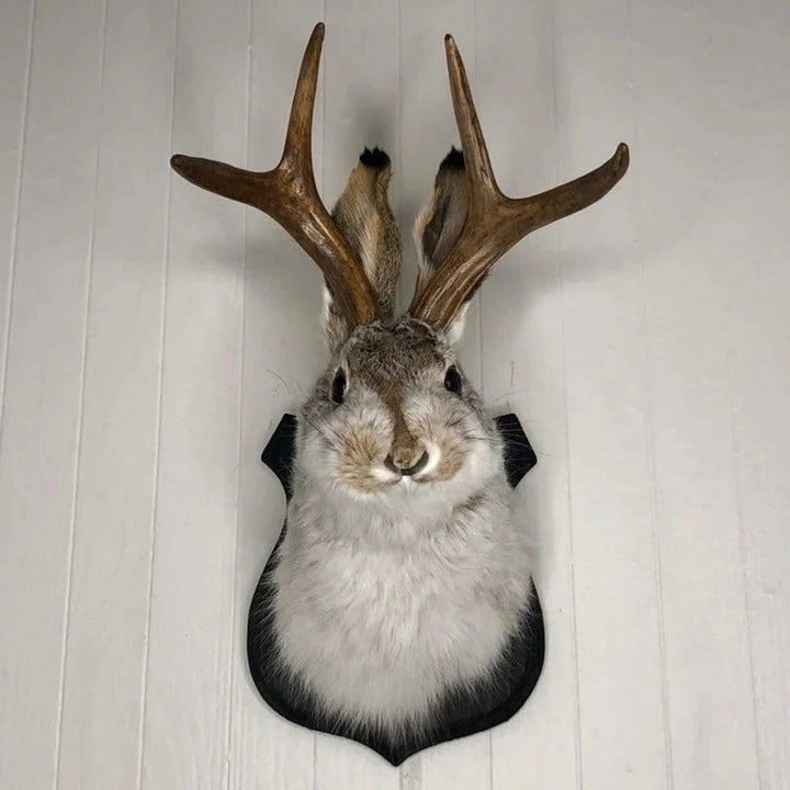 Jackalope Väggdekoration