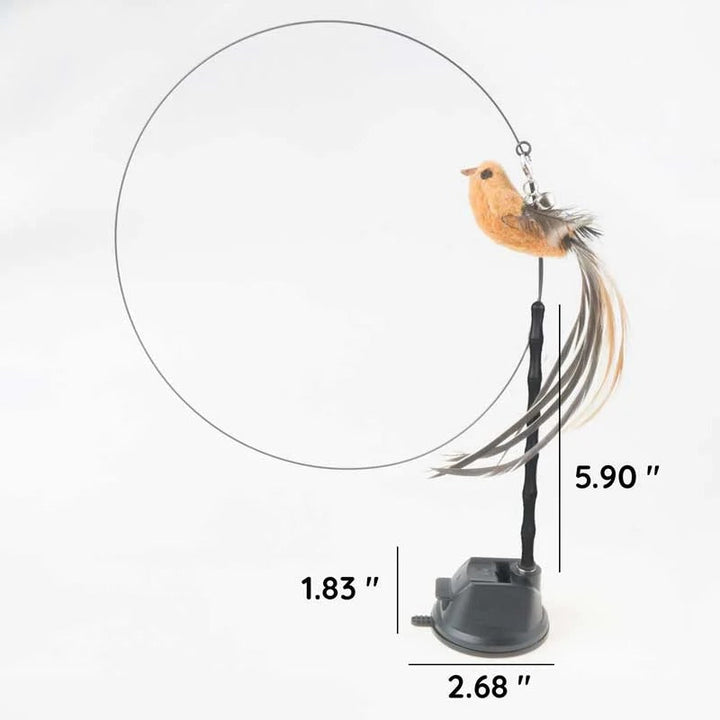 Fågel Simuleringsleksak Set för Katter