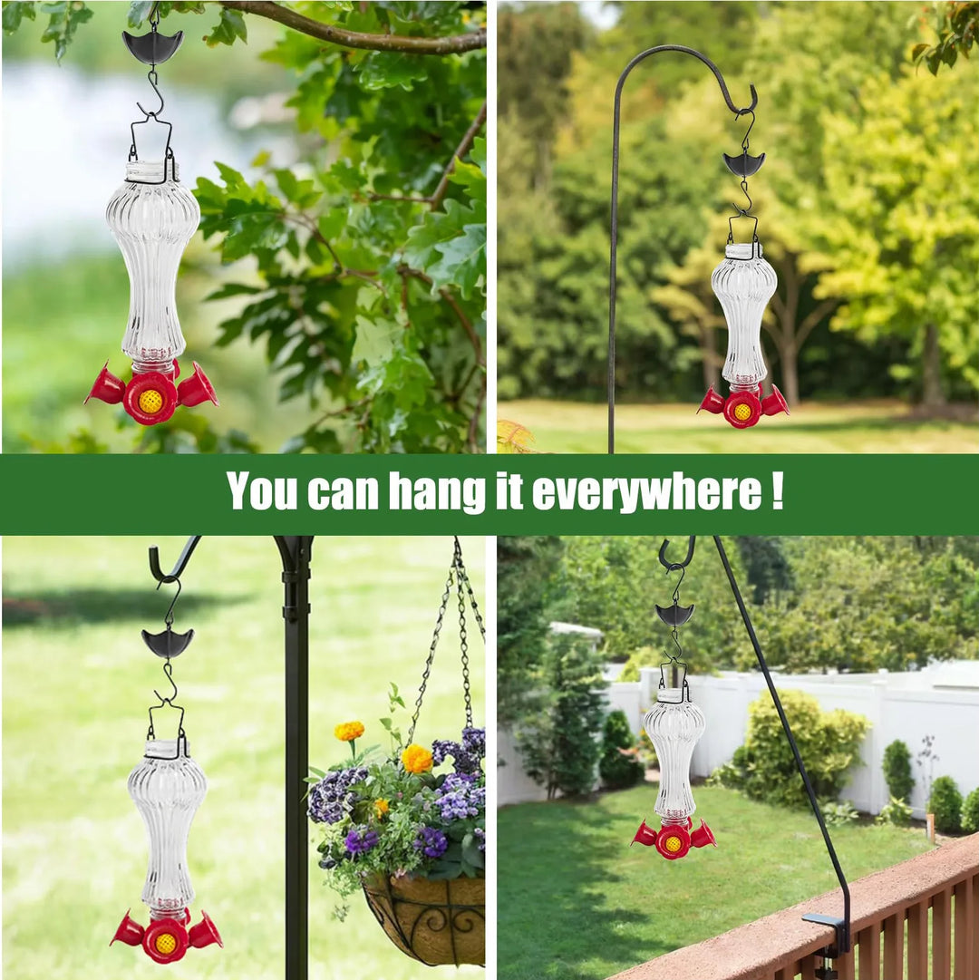Blommor Glas Kolibri Matare Med Myrmoat