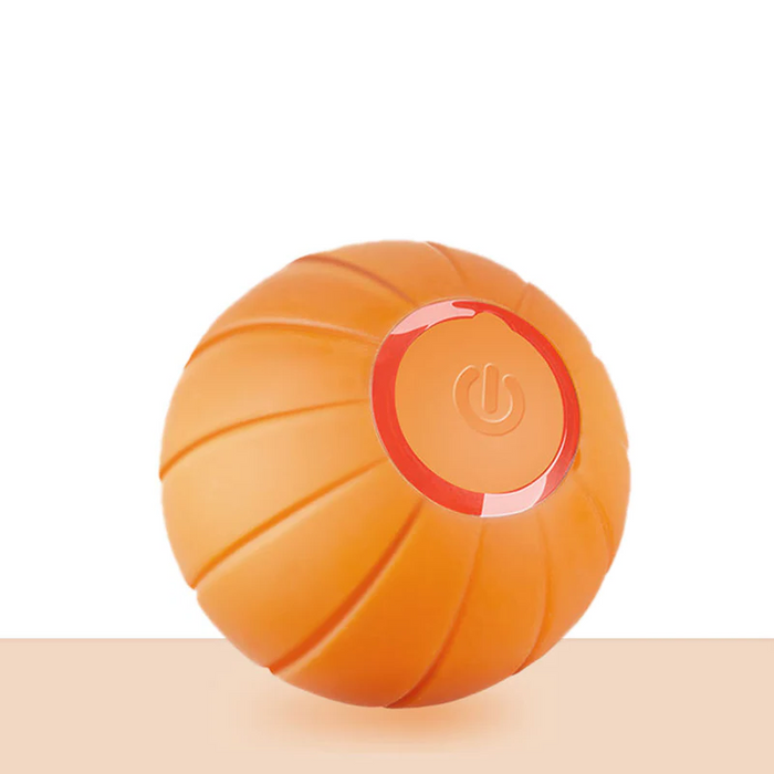 Husdjur Boll (Specialutgåva)