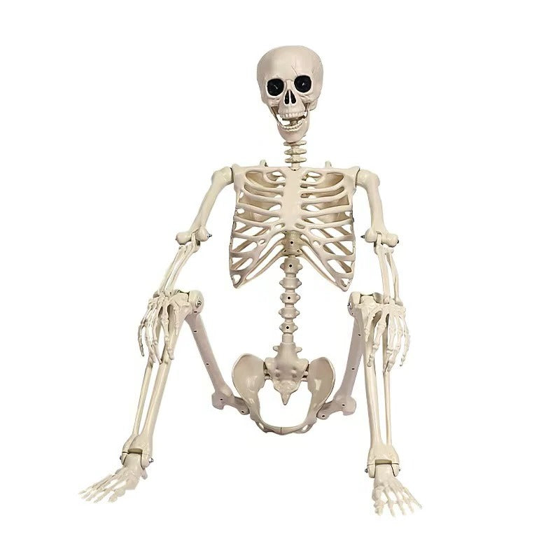 Livsstor Skelett Dekoration