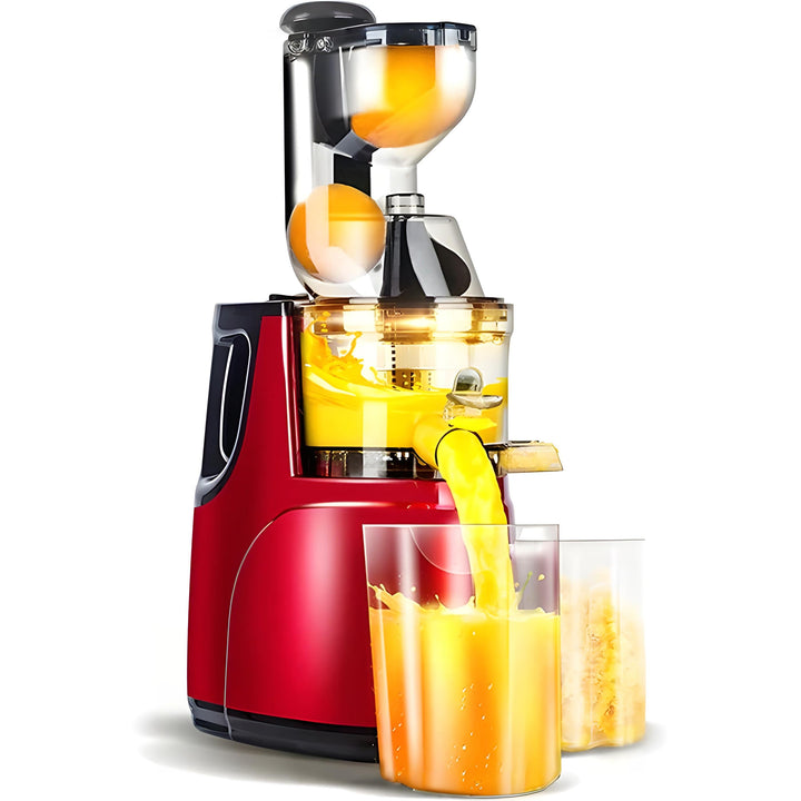 Automatisk Juicer - Juicer för hushållsrester av frukter och grönsaker