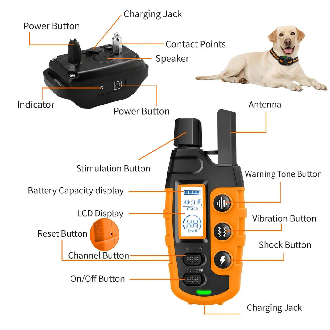 Fjärrhundträning E-halsband