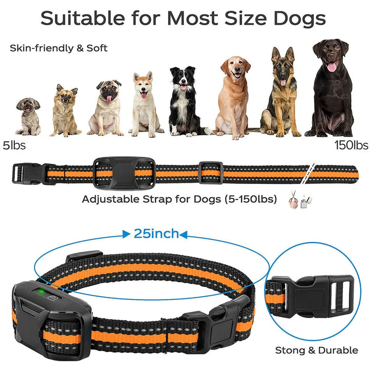 Fjärrhundträning E-halsband