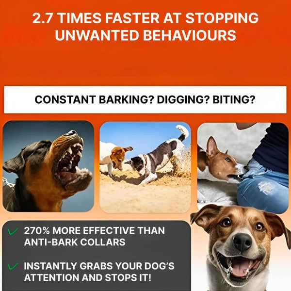 Ultraljuds Hund Anti-Bark Enhet