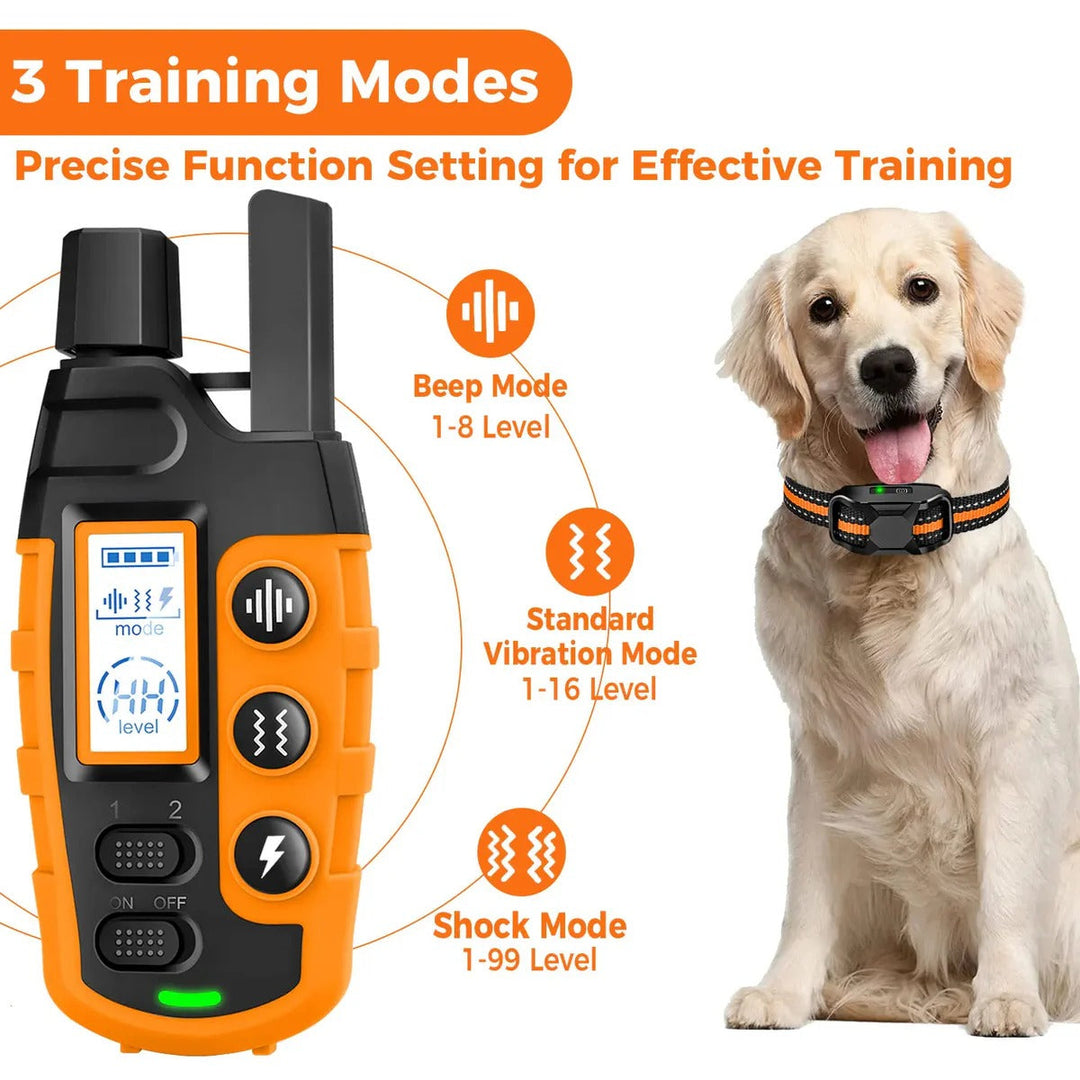 Fjärrhundträning E-halsband