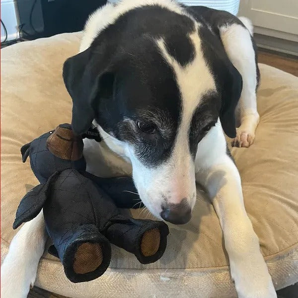 Indestructible &amp; Interactive Bear Dog Toys For Heavy Chewers