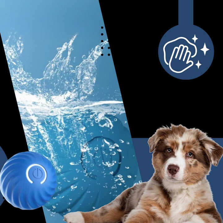 Interaktiv hinderundvikande hundboll