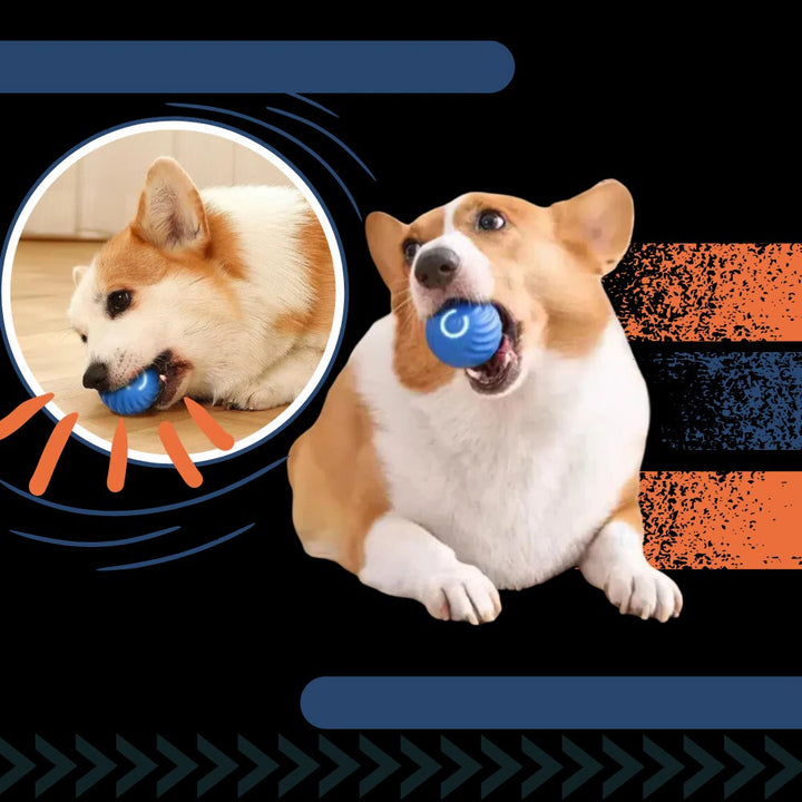 Interaktiv hinderundvikande hundboll
