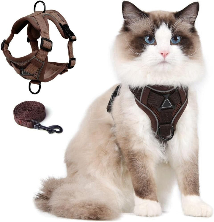 Reflekterande Kattsele och Koppelset