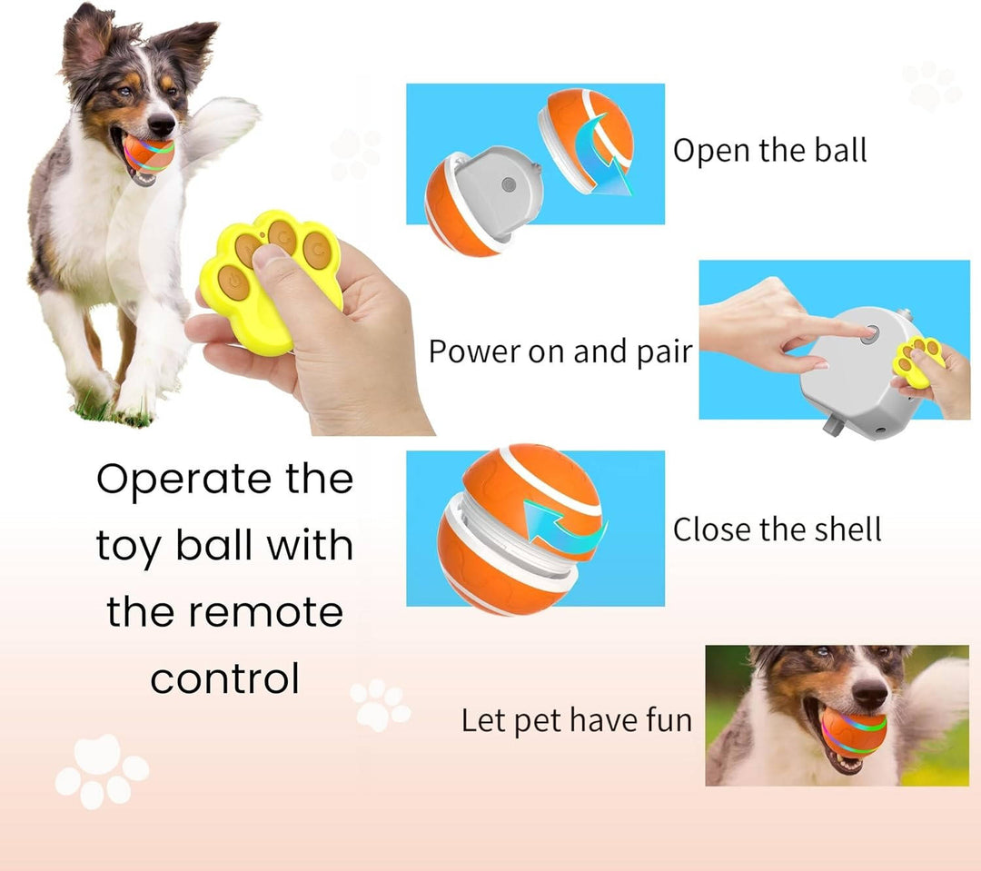 Interaktiv Hundboll Lek