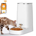 Automatisk Kattmatare