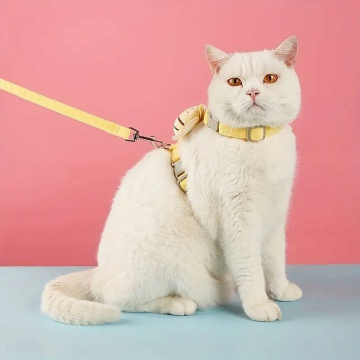 Katt Halsband Och Sele