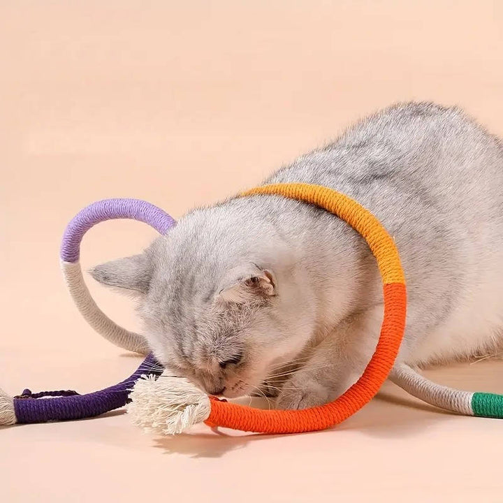 Katt Tuggtillbehör