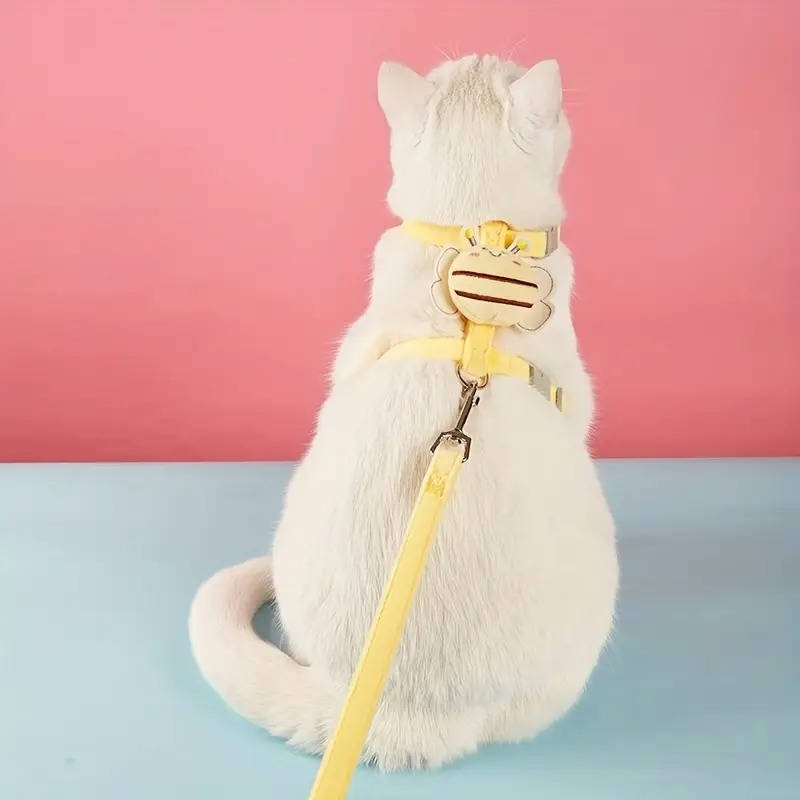 Katt Halsband Och Sele