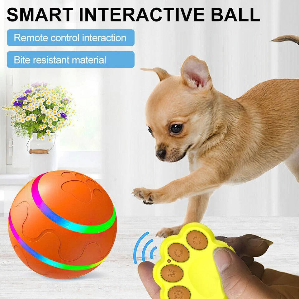 Interaktiv Hundboll Lek