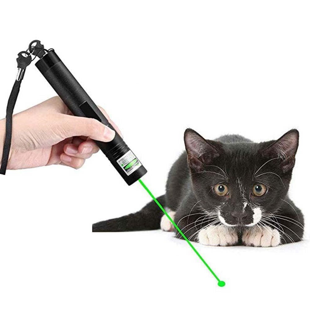 Laser 303 - Den Högeffektiga Laserpekaren