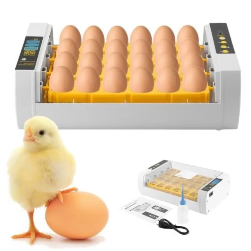 Premium Ägginkubator Automatisk Kyckling Vaktelägg Kläckare 24 Ägg