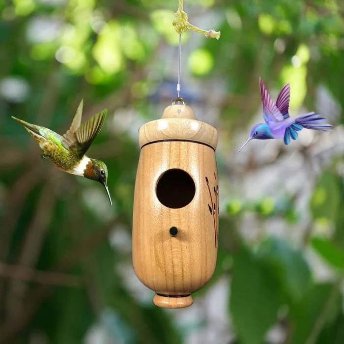 Trähummingbirdhus - Present för naturälskare