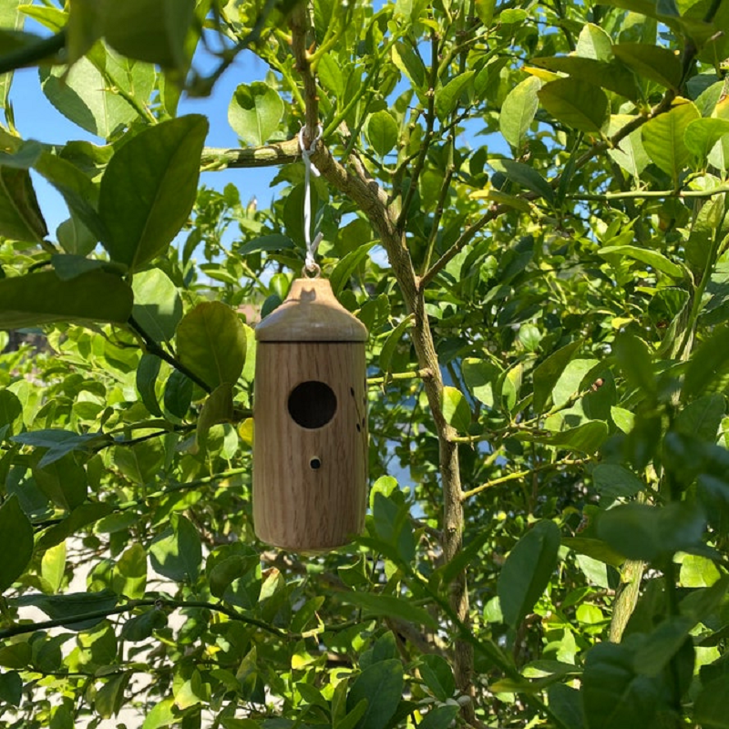 Trähummingbirdhus - Present för naturälskare