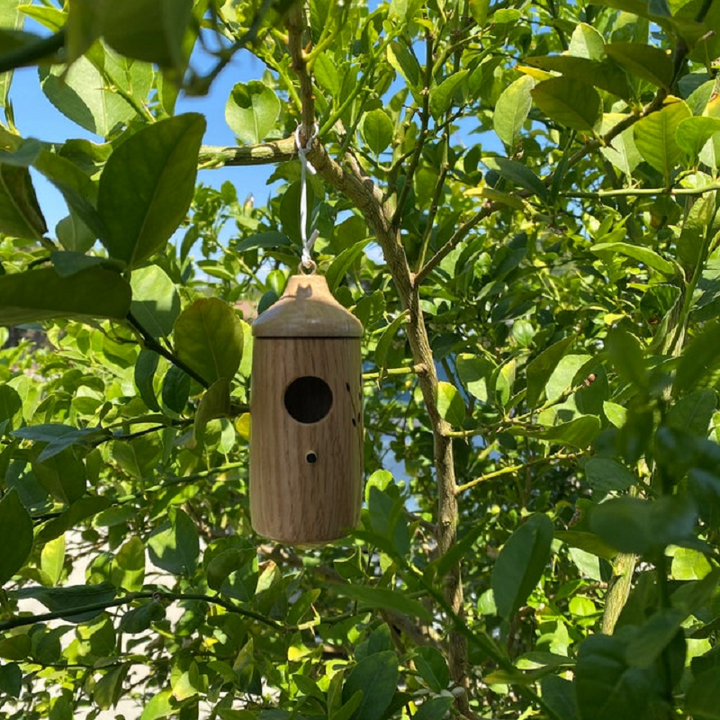 Trähummingbirdhus - Present för naturälskare