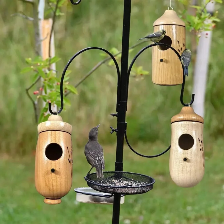 Trähummingbirdhus - Present för naturälskare