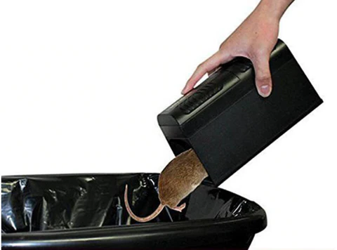 Elektrisk Musfälla