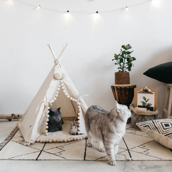 Bohemisk Husdjurs TeePee