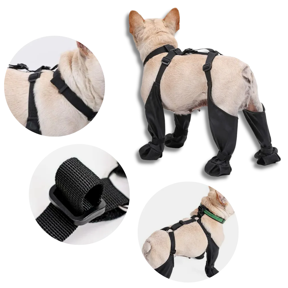 Vattentäta Hundsuspenderskängor