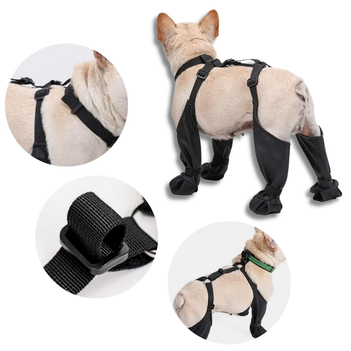 Vattentäta Hundsuspenderskängor