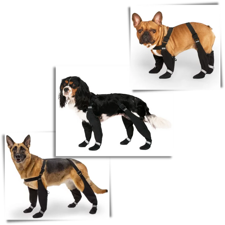 Vattentäta Hundsuspenderskängor