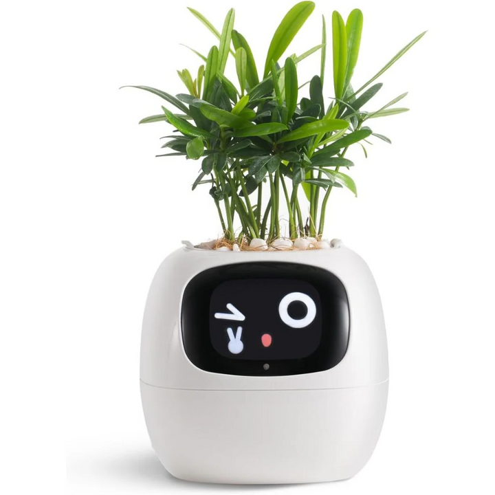 Smart Blomkruka Ivy - Innovativ Växtvård