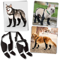Vattentäta Hundsuspenderskängor