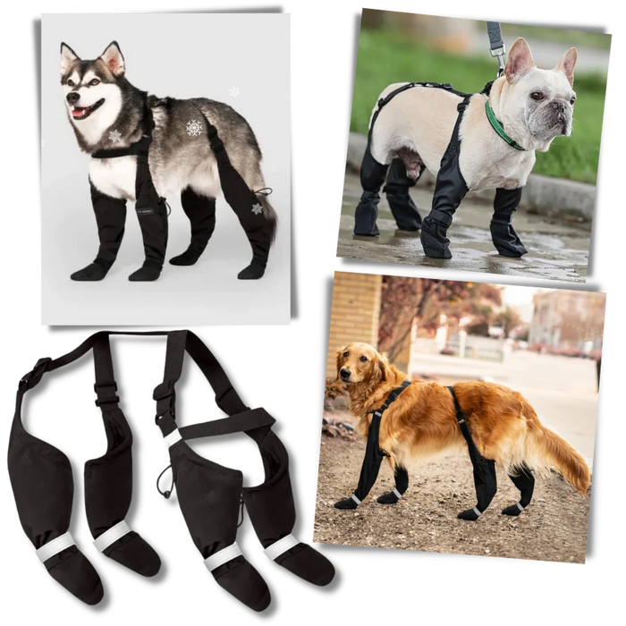 Vattentäta Hundsuspenderskängor