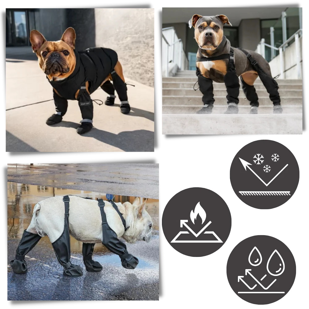 Vattentäta Hundsuspenderskängor