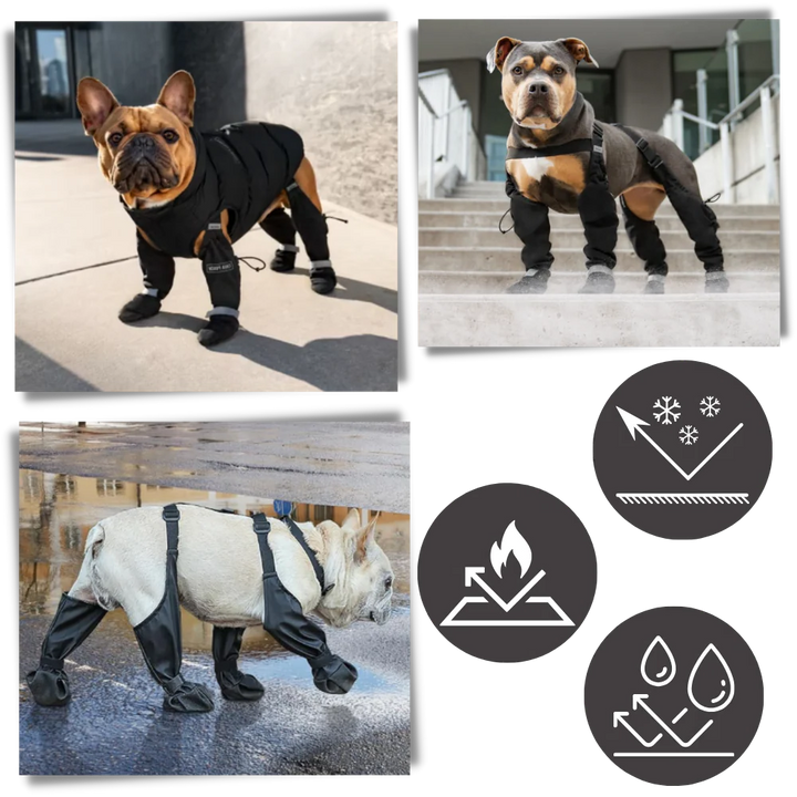 Vattentäta Hundsuspenderskängor