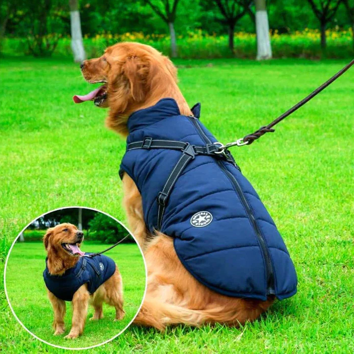 Vattentät Vinterhundjacka - Fodrad med Sherpa-Fleece - Inbyggd Sele