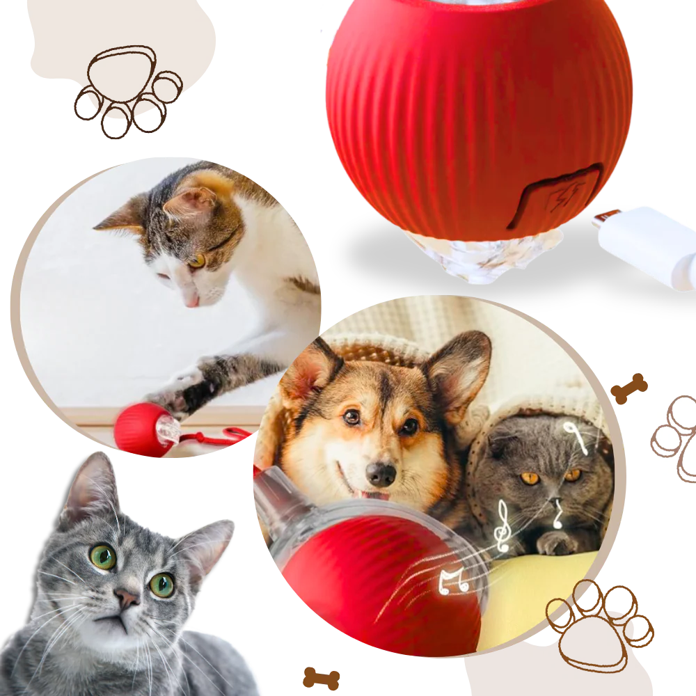 Smart Interaktiv Kattboll Leksak