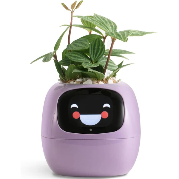 Smart Blomkruka Ivy - Innovativ Växtvård