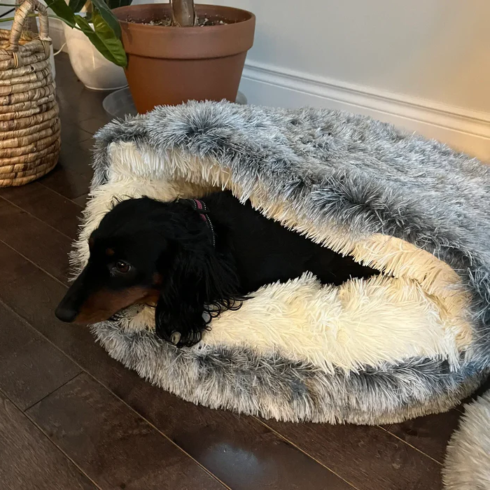 Mysig Säng för Hundar och Katter - SnuggleCave - Plush Komfort - Flera Storlekar &amp; Färger