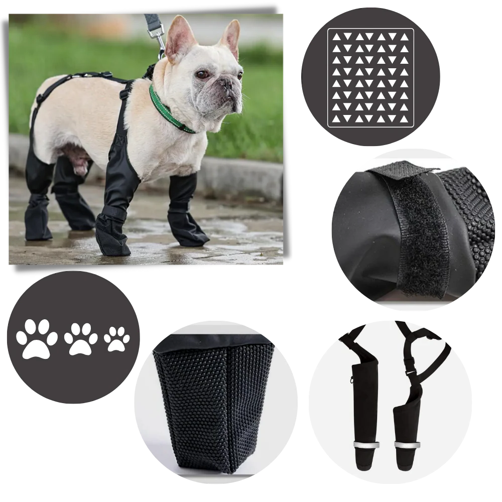 Vattentäta Hundsuspenderskängor