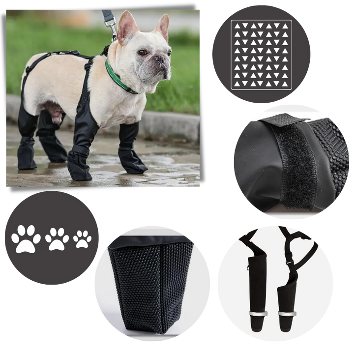 Vattentäta Hundsuspenderskängor