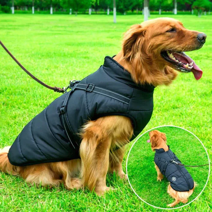 Vattentät Vinterhundjacka - Fodrad med Sherpa-Fleece - Inbyggd Sele